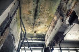 Best HVAC Mold Inspection and Cleaning  in Callaway, FL